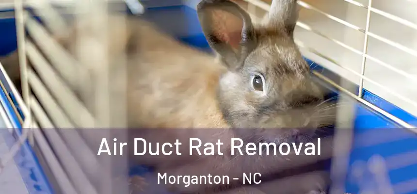  Air Duct Rat Removal Morganton - NC