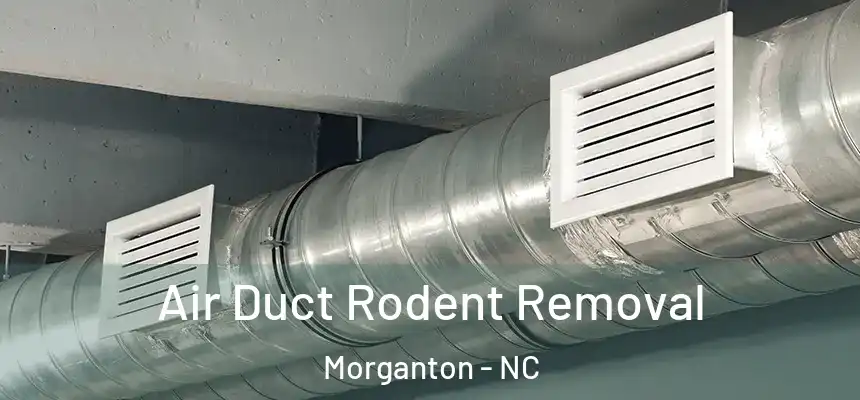  Air Duct Rodent Removal Morganton - NC