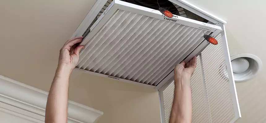 Our Insect Removal from Air Ducts Services in Morganton, NC