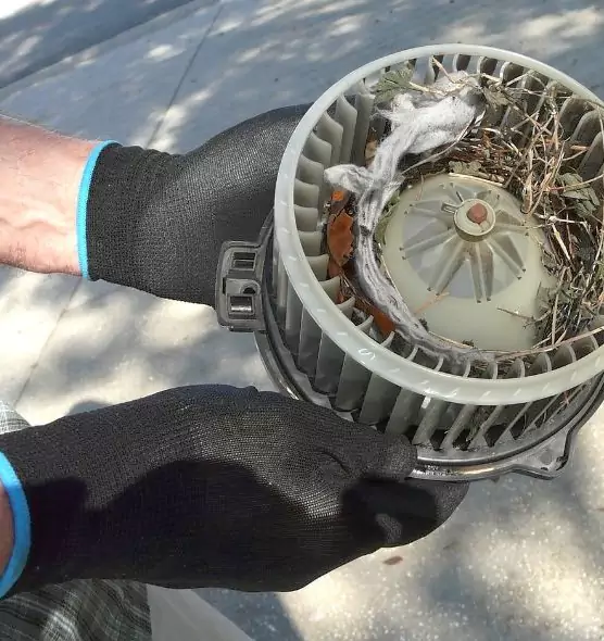 About Air Duct Mice Removal in Morganton, NC