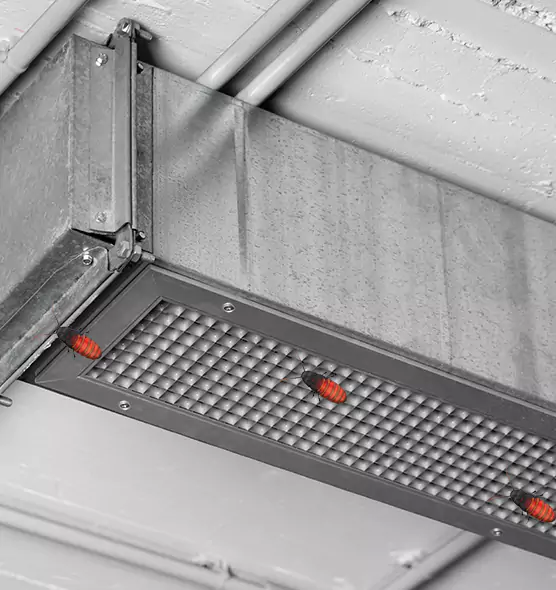 Affordable Insect Removal from Air Ducts in Morganton, NC