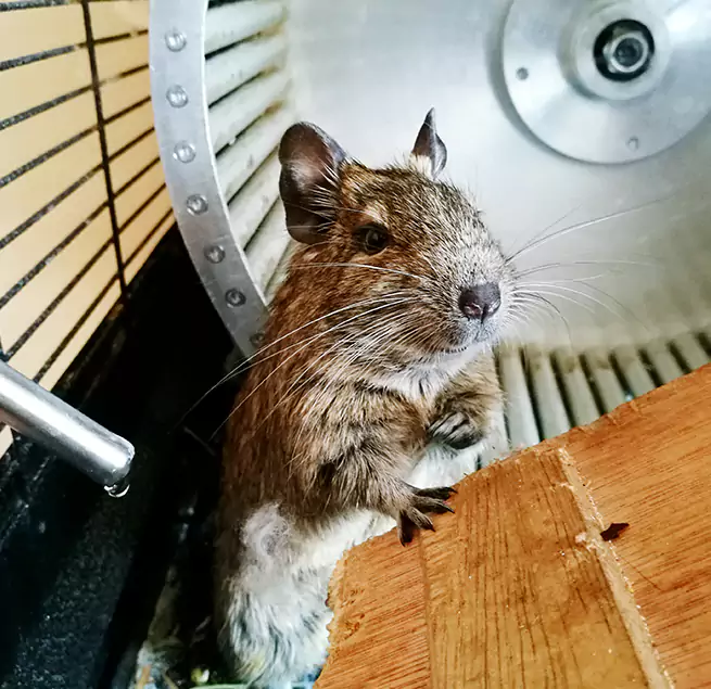 Why Homeowners & Businesses Trust Us Morganton, NC?